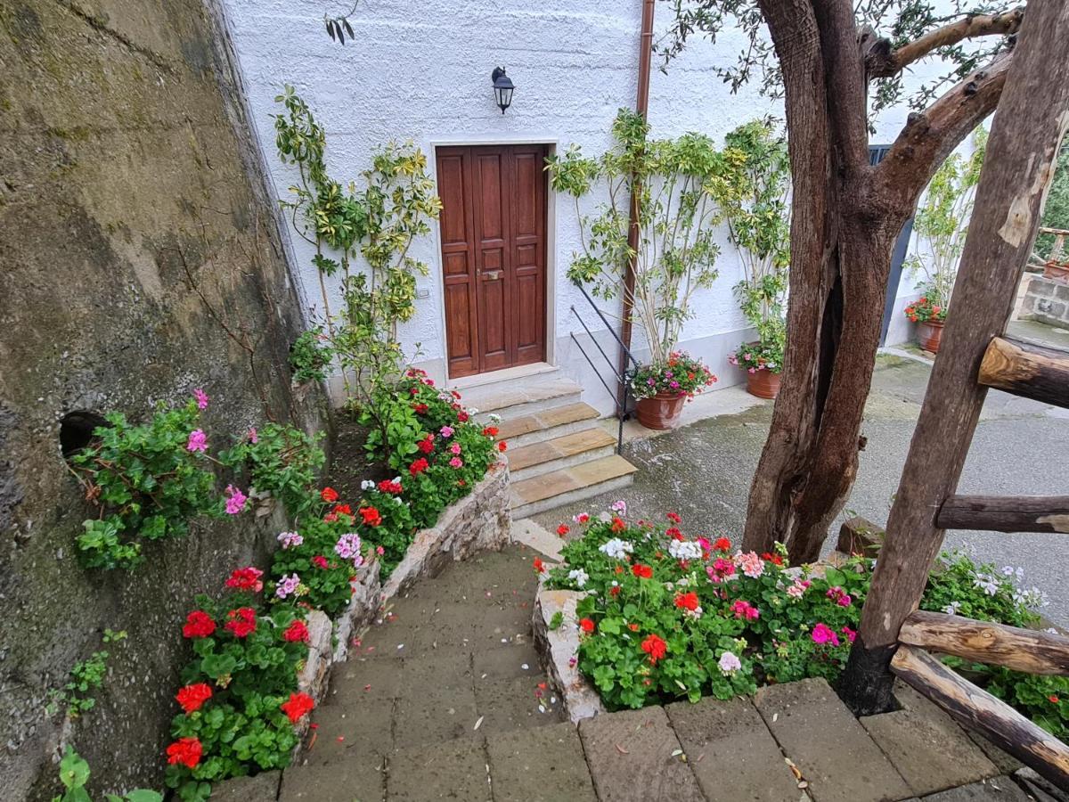 Casa Betania Da Peppe Villa Sorrento Exterior photo